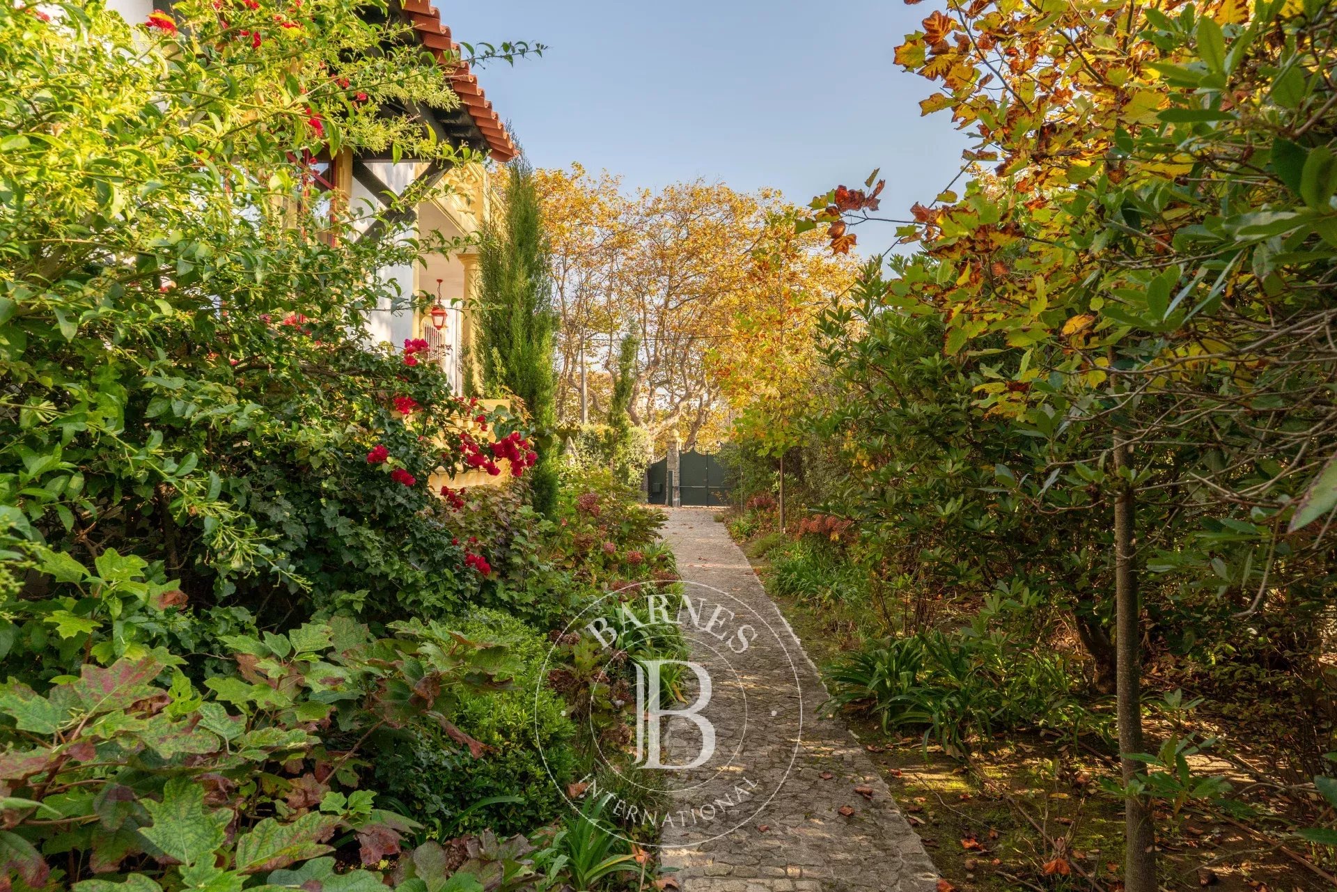 Elegância clássica