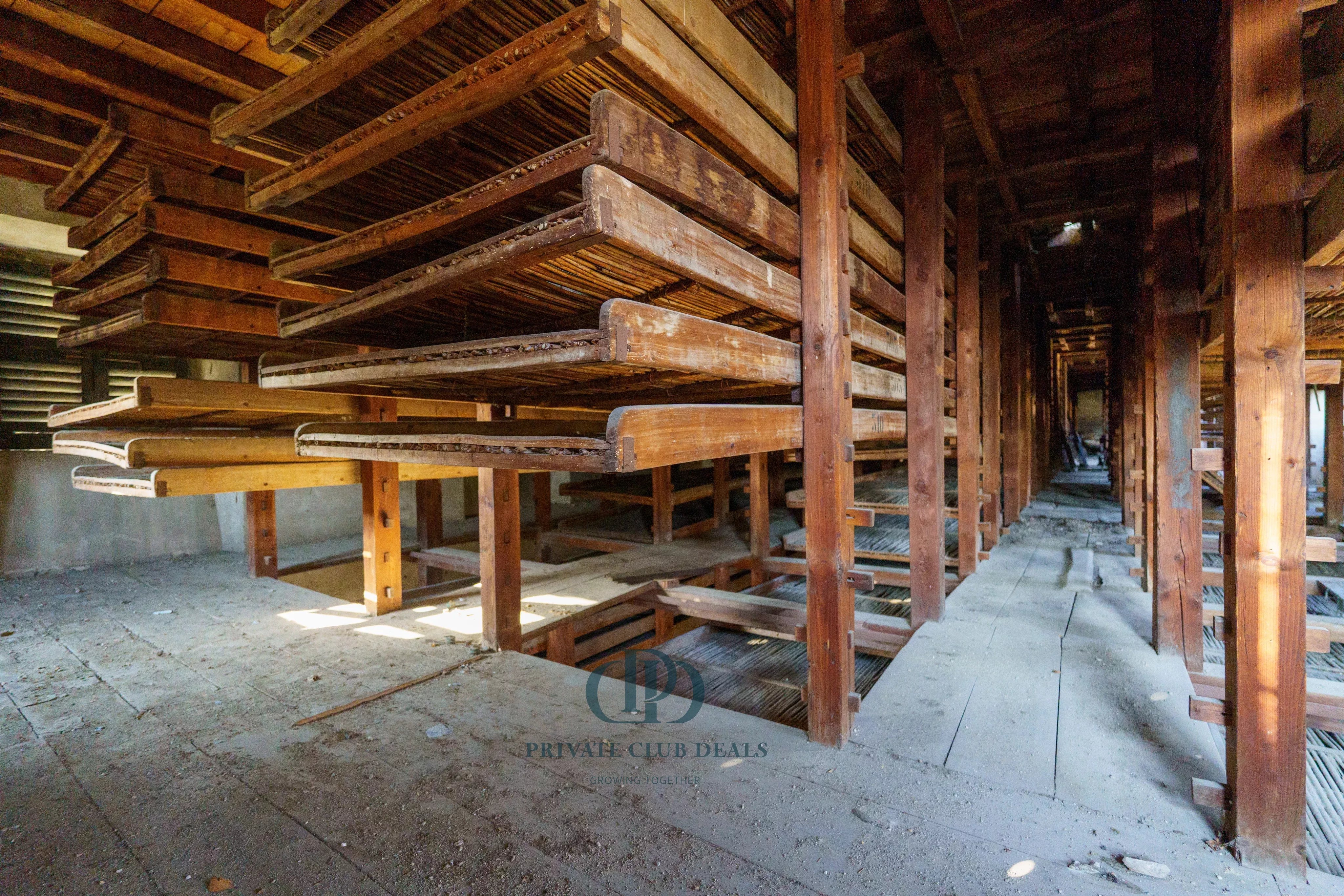 Depo Ello - picture 13