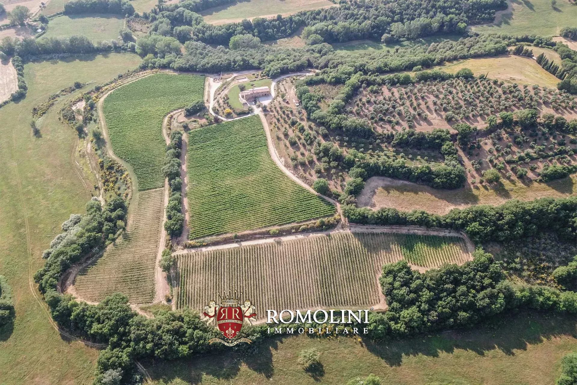 3 Bedroom Vineyard's Image 12
