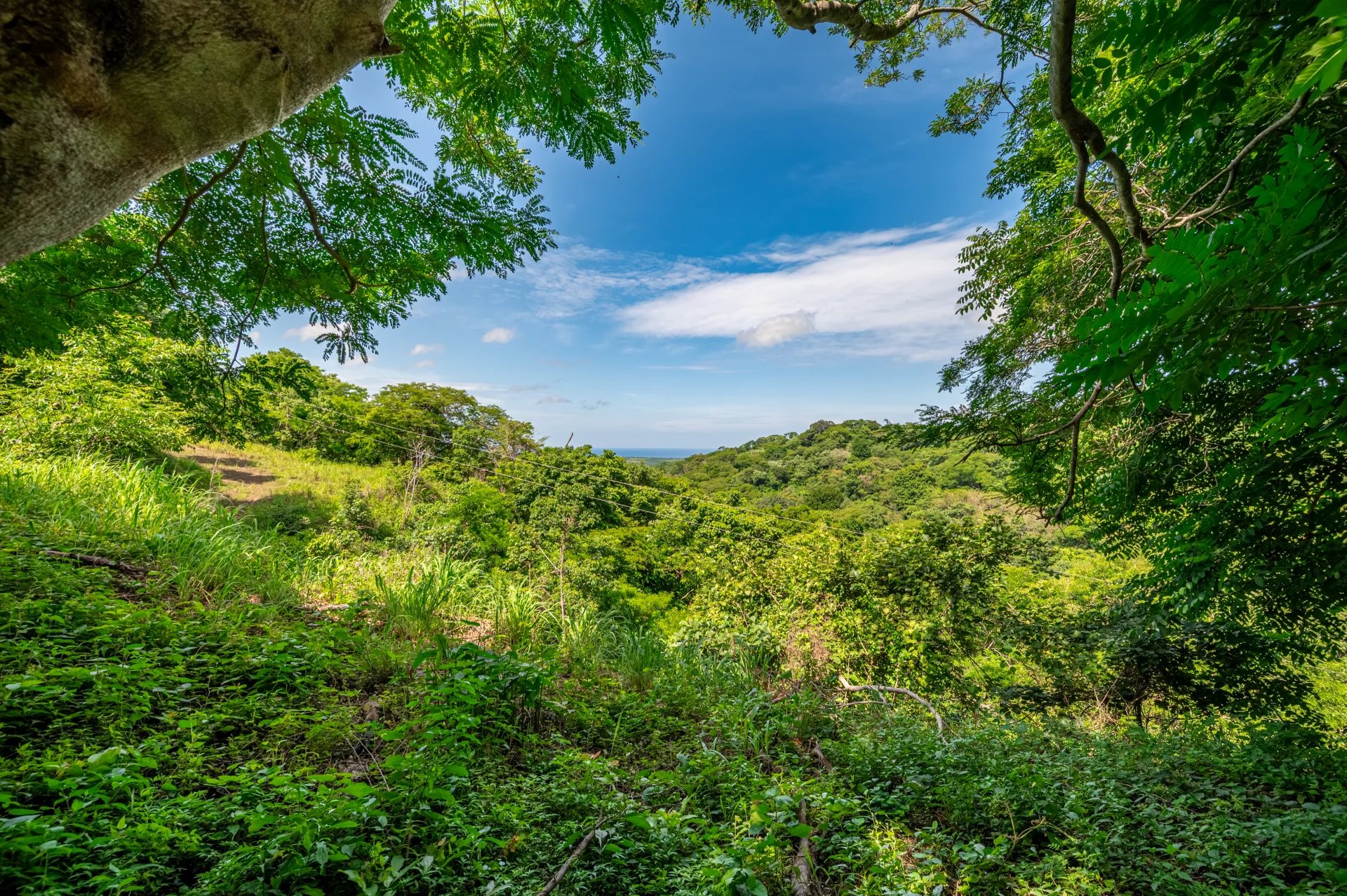 Venta Terreno Santa Cruz