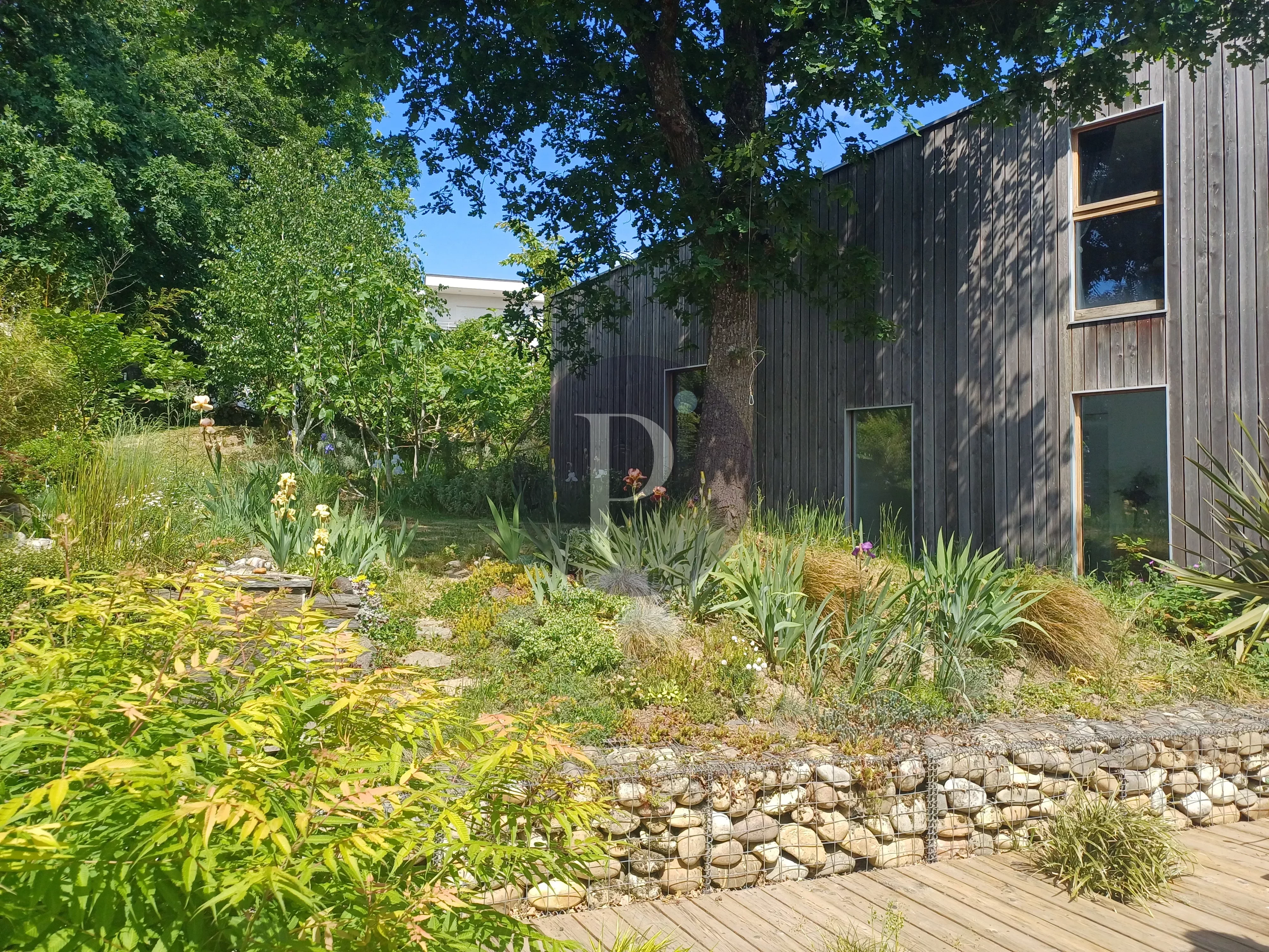 vente-maison-verrieres-le-buisson-85765885