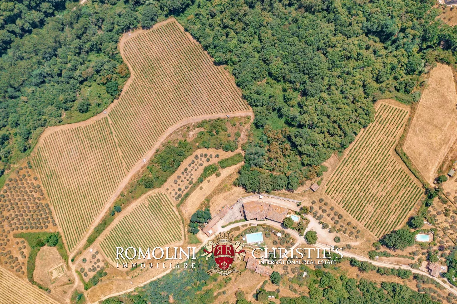 21 Bedroom Vineyard's Image 15