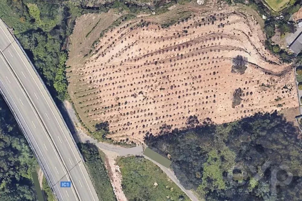 City Center Property Portimão 350 m from Beach 2.8 Km 85506834 image 14