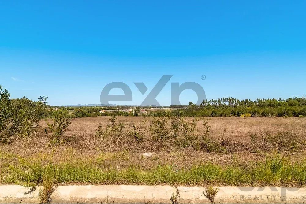 Unmissable Investment in Odemira 85507464 image 8
