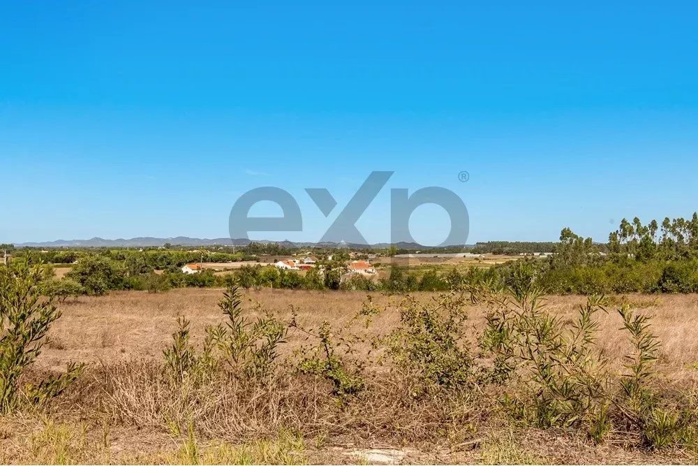 Unmissable Investment in Odemira 85507464 image 9