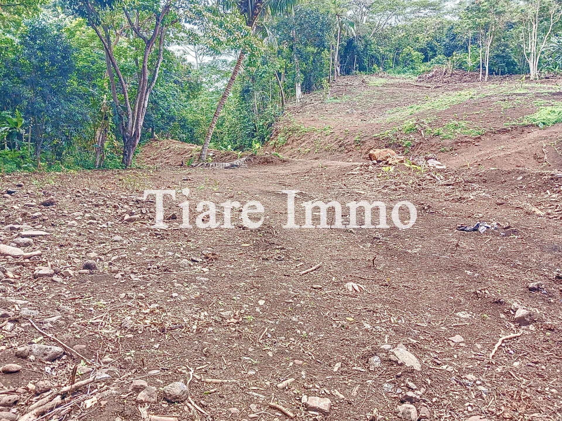 Vente Terrain Moorea-Maiao