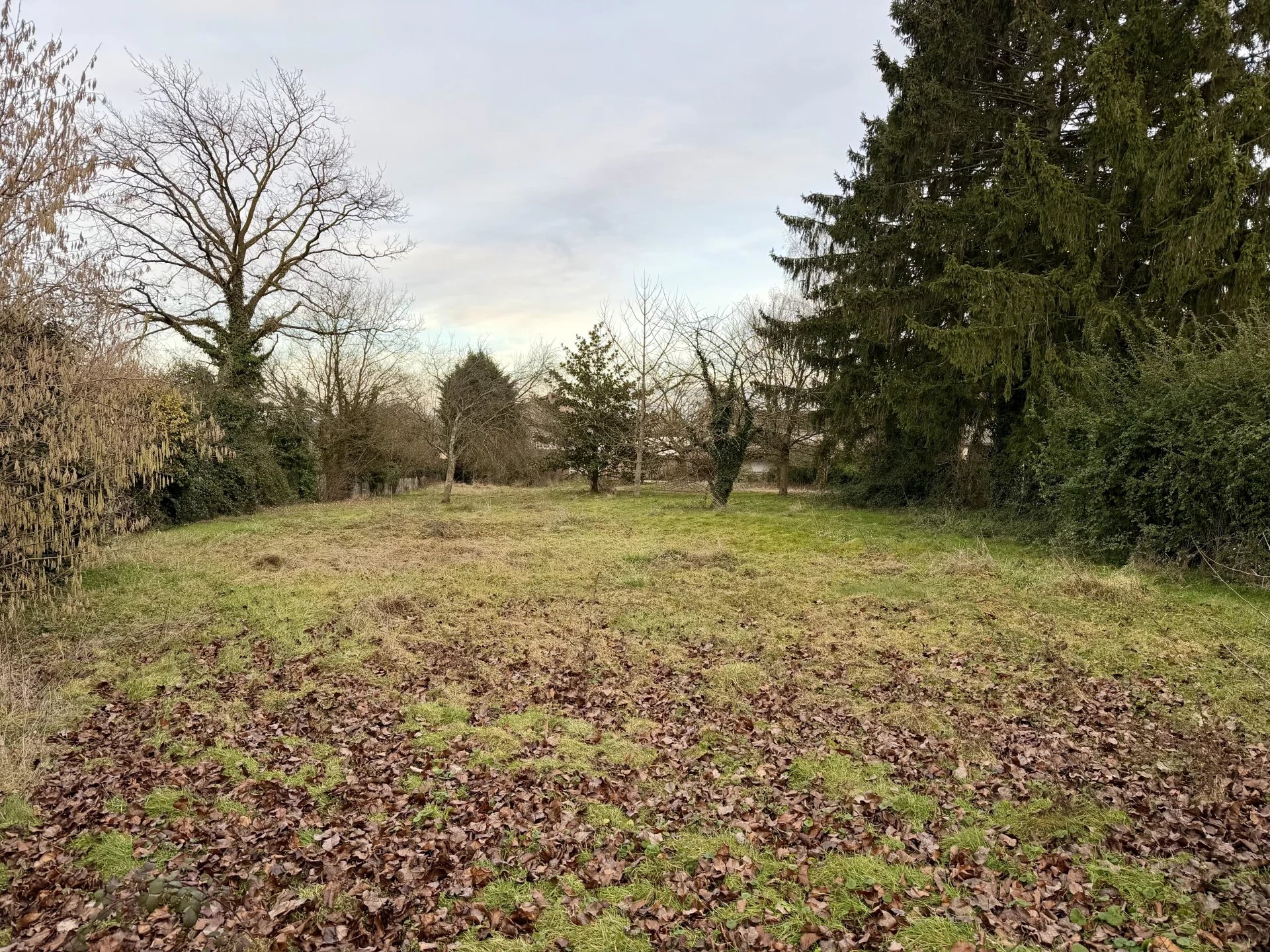 Agence immobilière de Valdor L'agence Immobilière Villefranche-sur-Saône