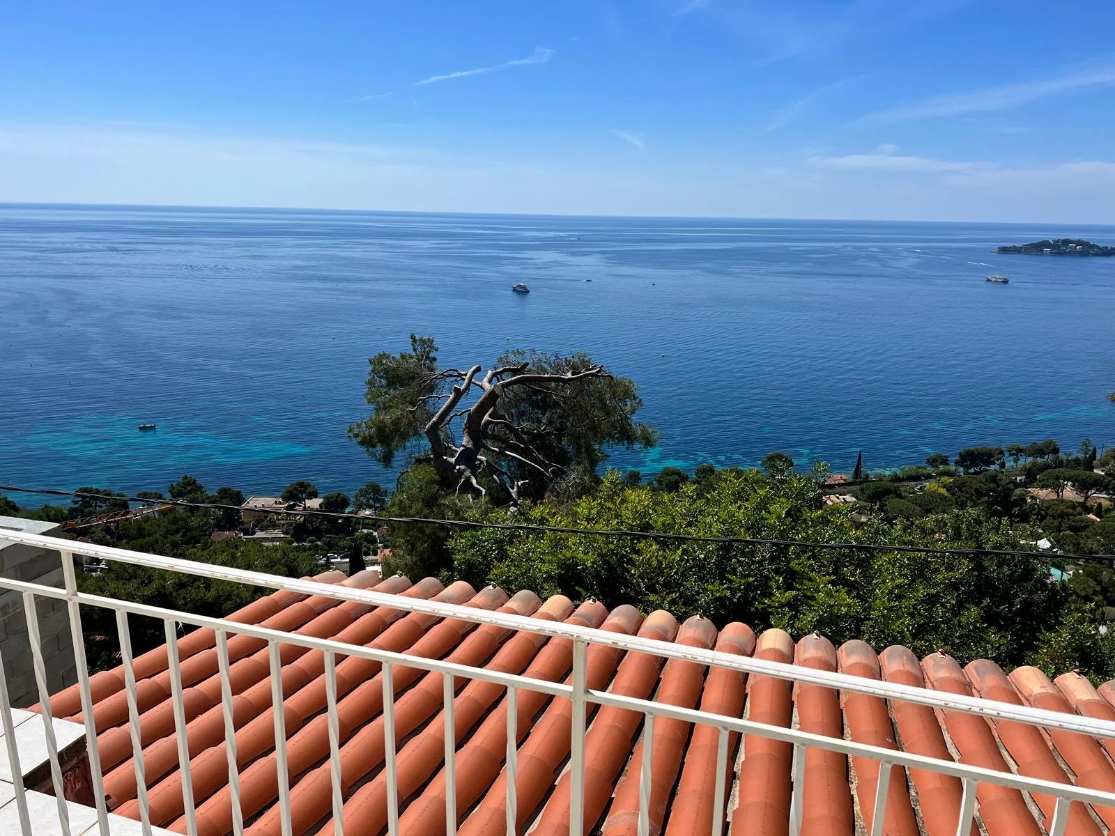 ENTRE LES CITRONNIERS ET LA MER - Photo 2