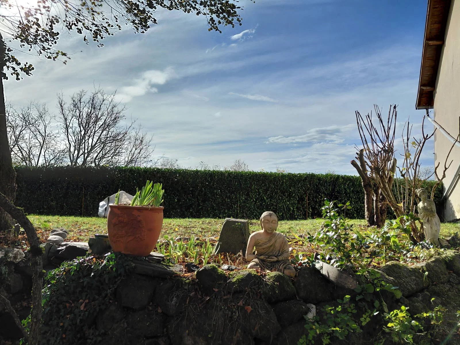 Agence immobilière de Allowa