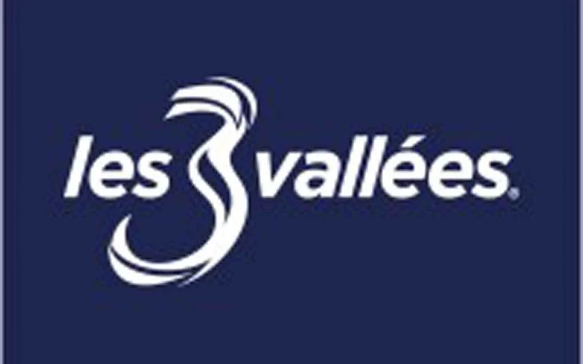 BAR RESTAURANT LICENCE IV 3 VALLEES — photo 8