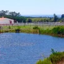 Exceptional Equestrian Estate – Odemira, South West Alentejo 86739800 image 4