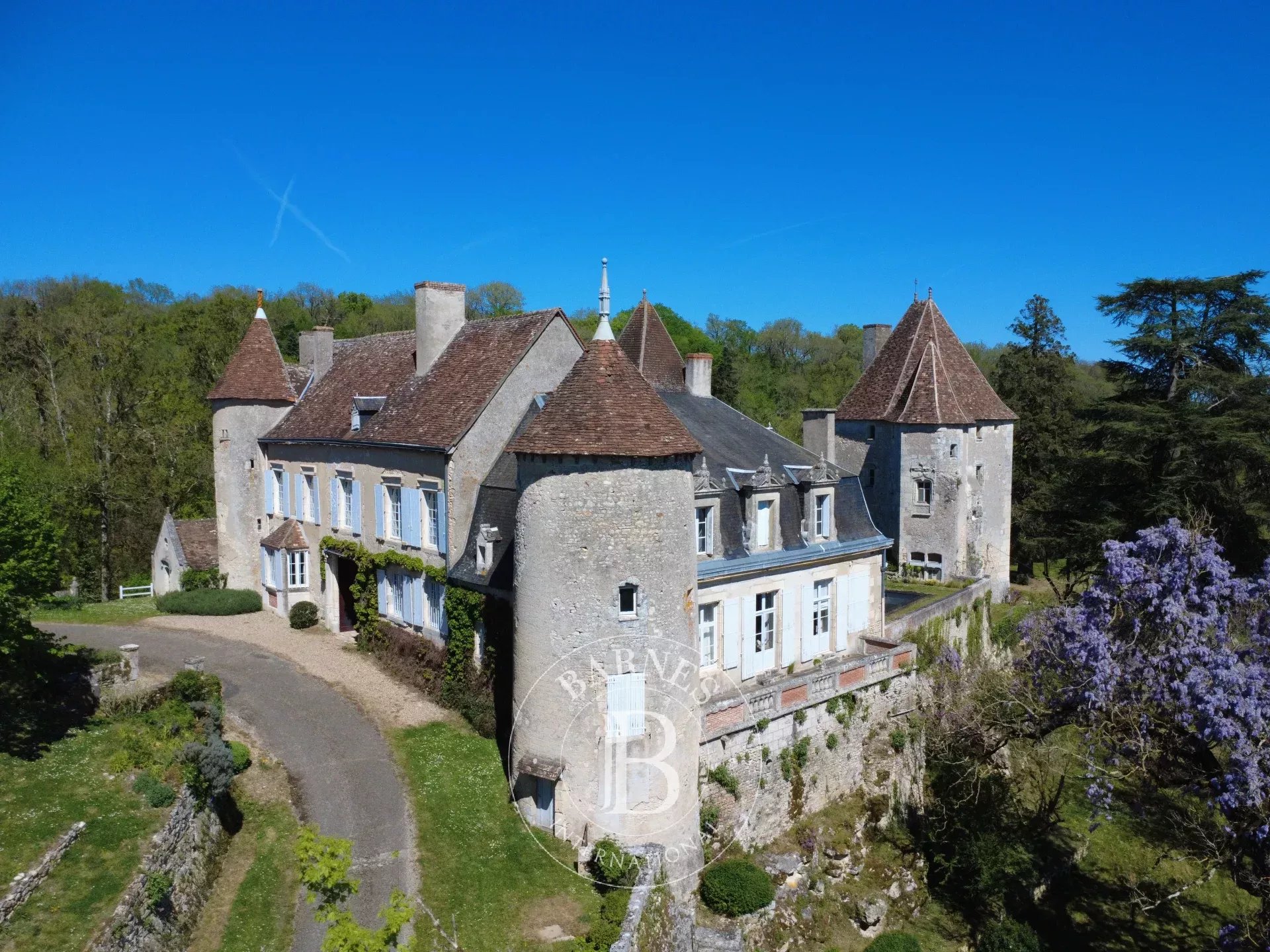 Châtellerault  - Château 9 Pi&egrave;ces 6 Chambres - picture 16