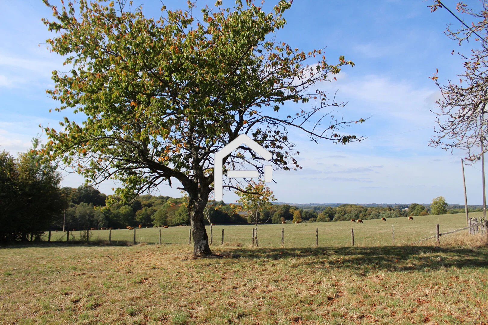 Vente Terrain Uzerche