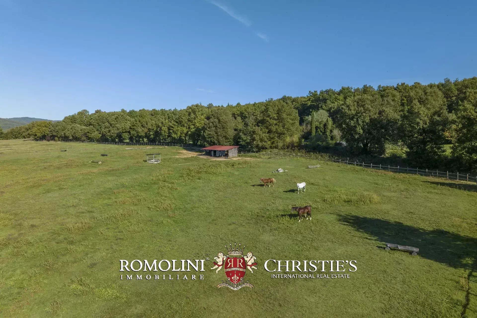 9 Bedroom Horse Property's Image 18