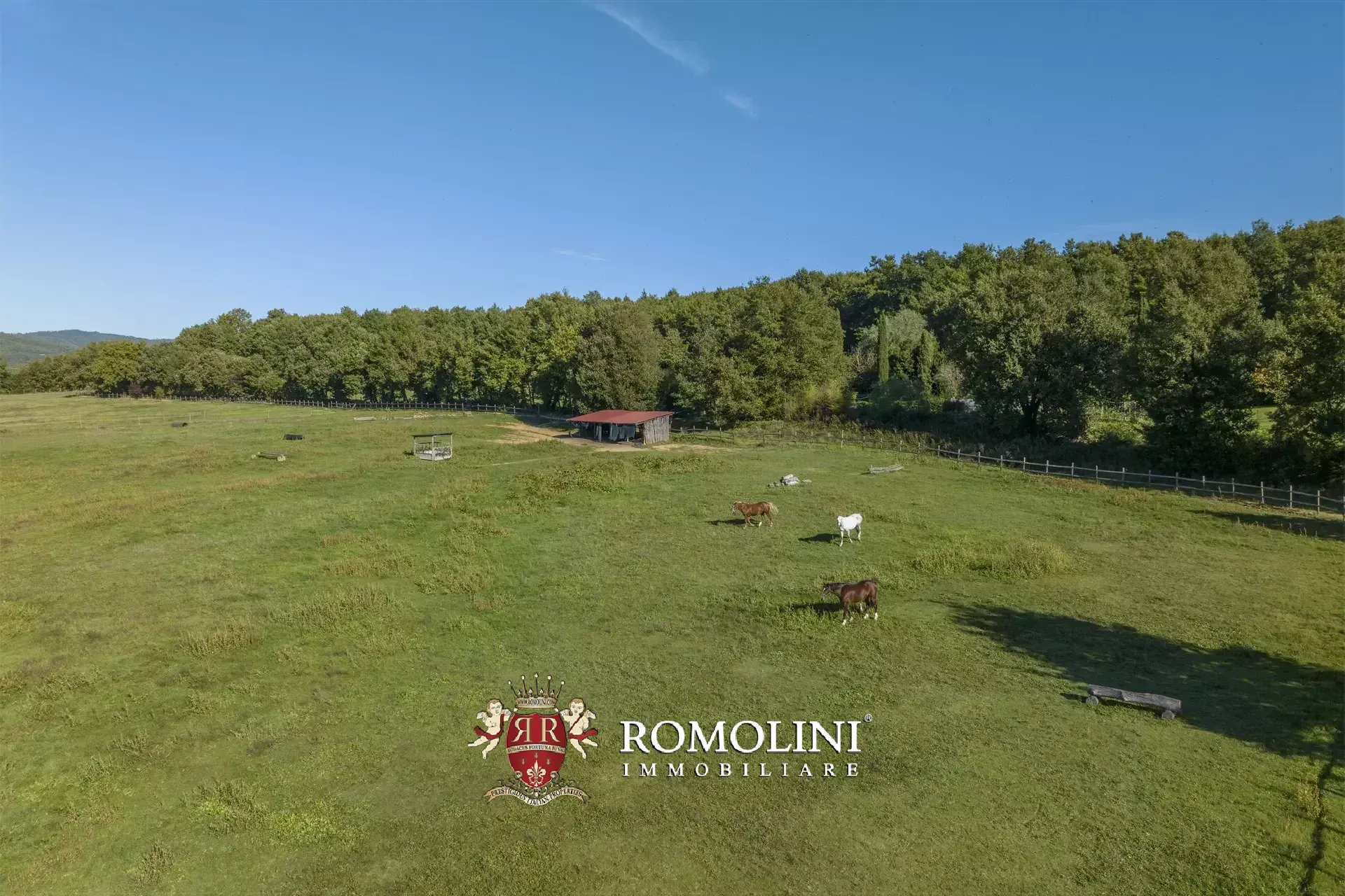 9 Bedroom Horse Property's Image 18