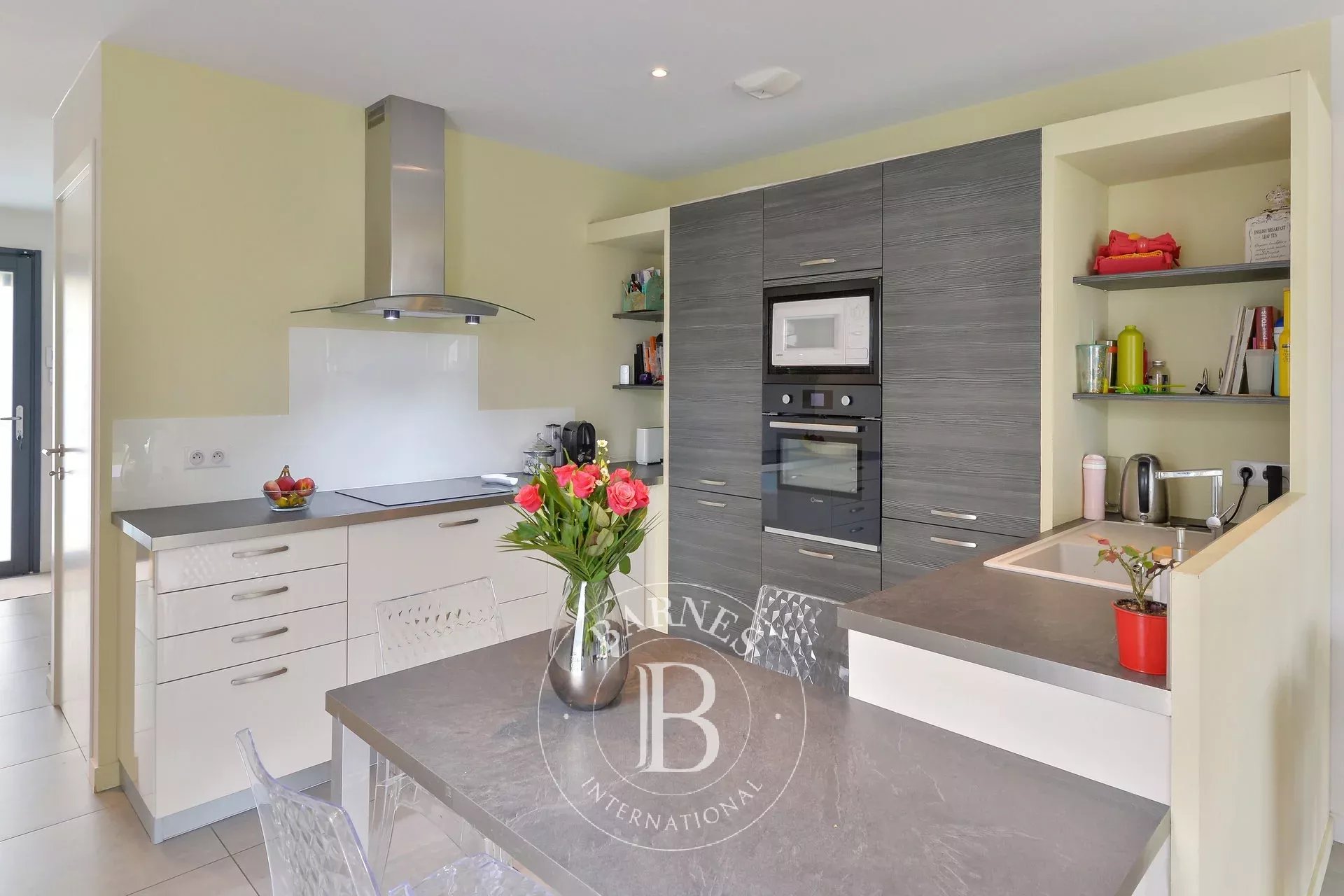 Ev Limonest - picture 5