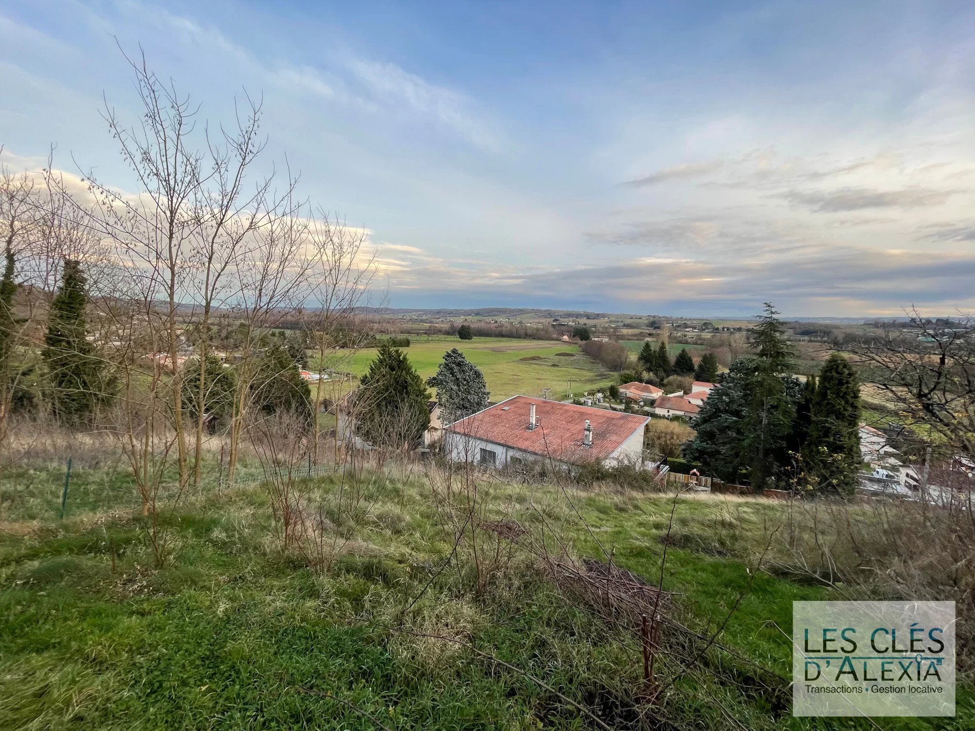 Agence immobilière de 