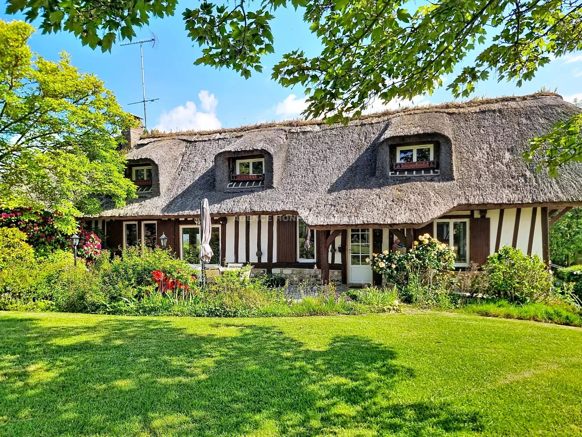 Agence immobilière de 