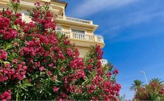 SALE PALM BEACH - 2 ROOMS PANORAMIC SEA VIEW — photo 2 of 7