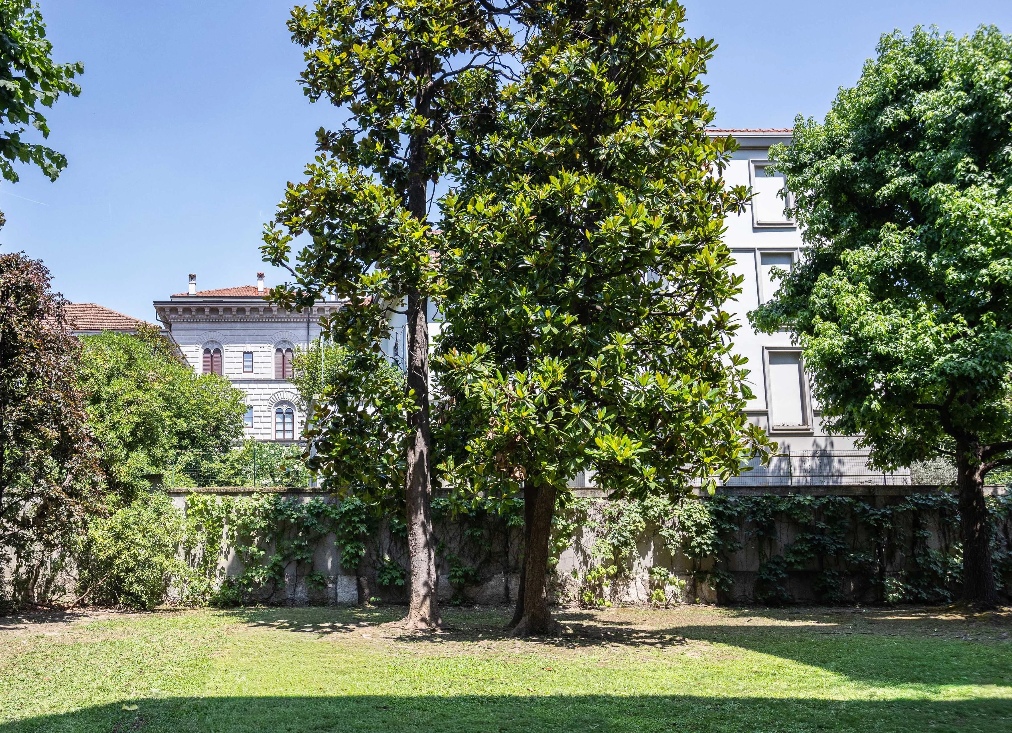 CORSO VERCELLI PAGANO AREA
