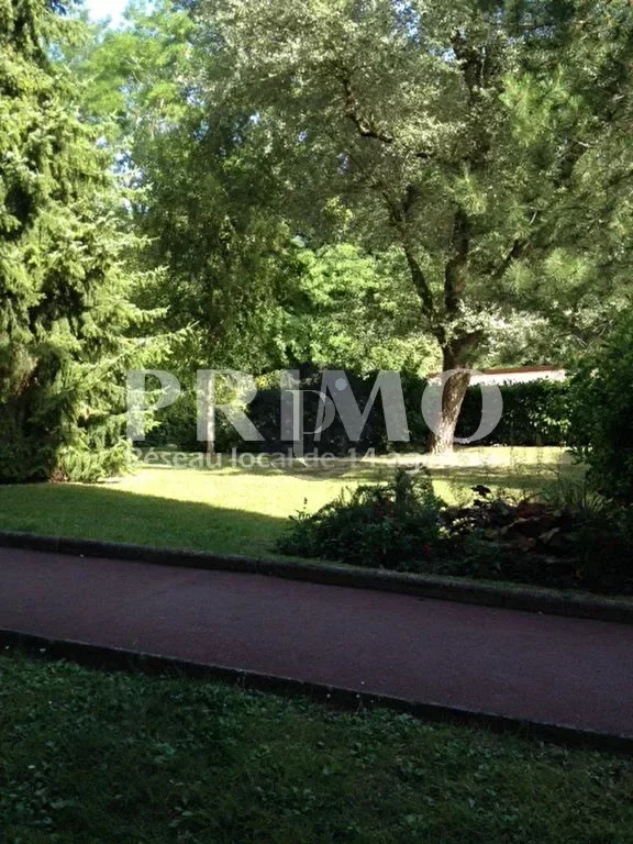 vente-appartement-1-piece-sceaux-83878965