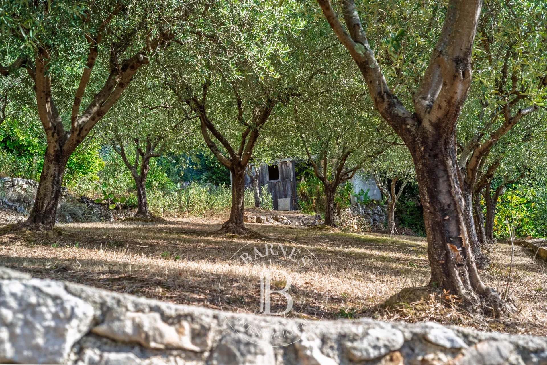 Villa Cabris - picture 21