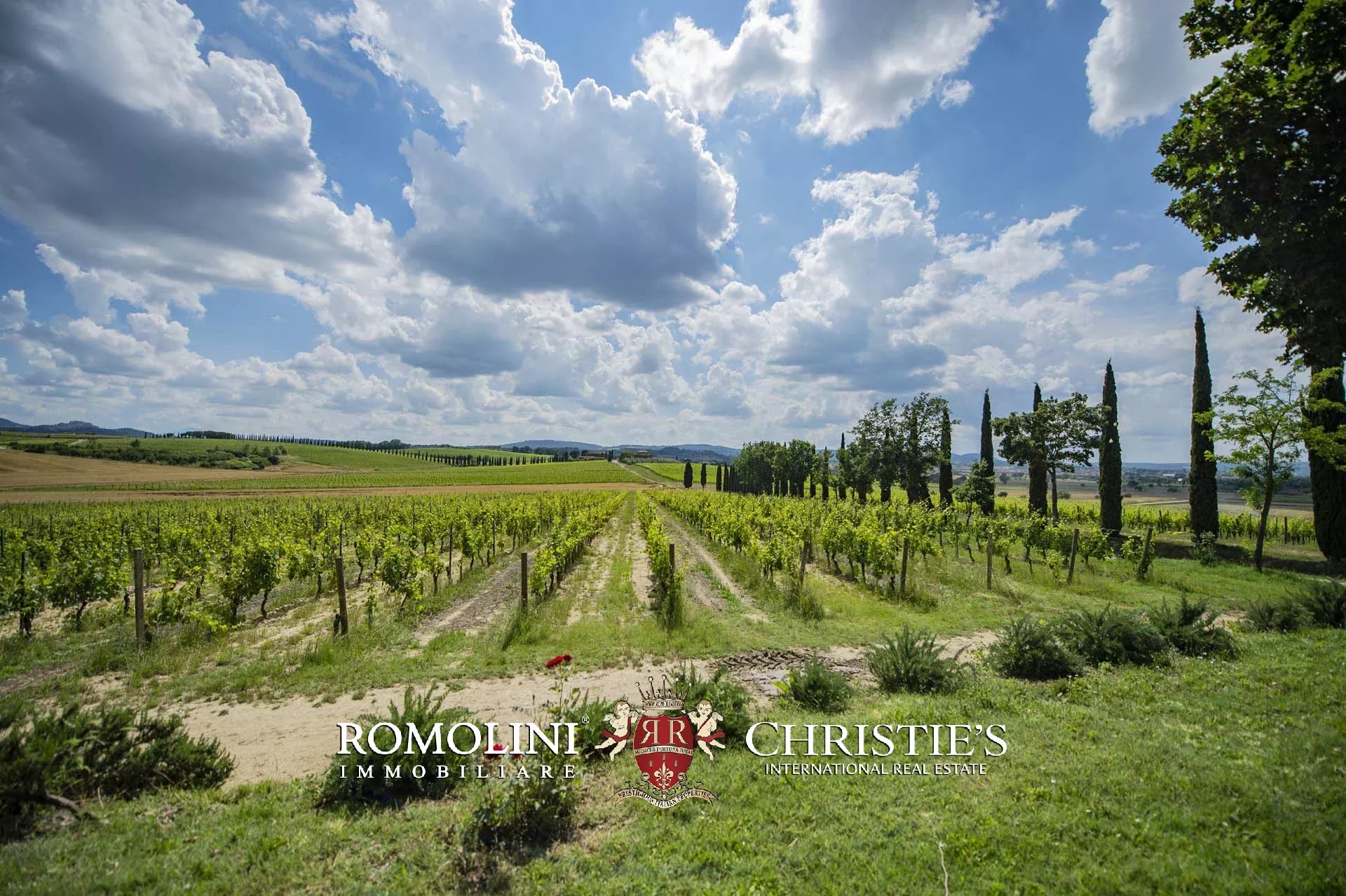 34 Bedroom Vineyard's Image 30
