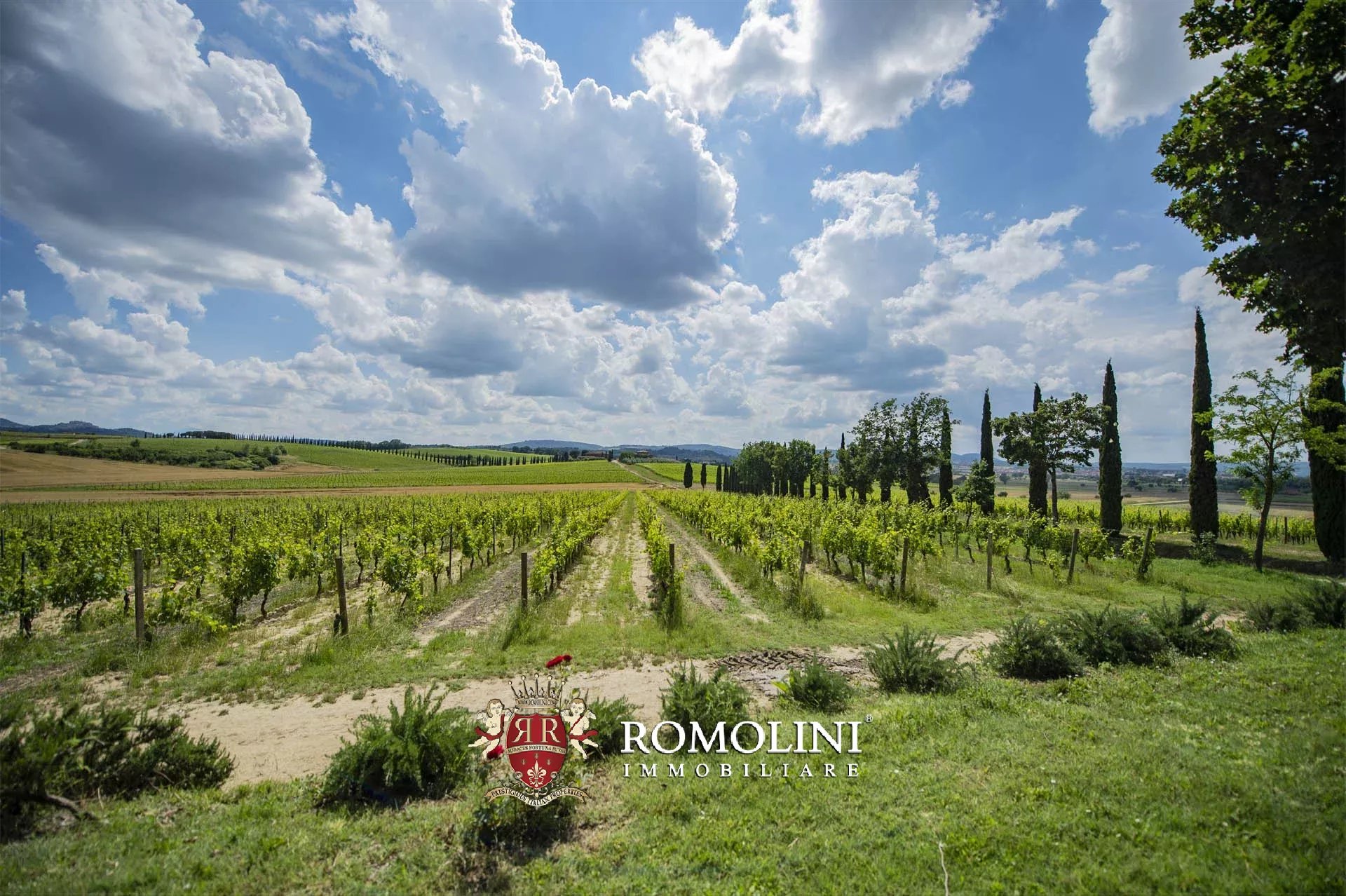 34 Bedroom Vineyard's Image 30
