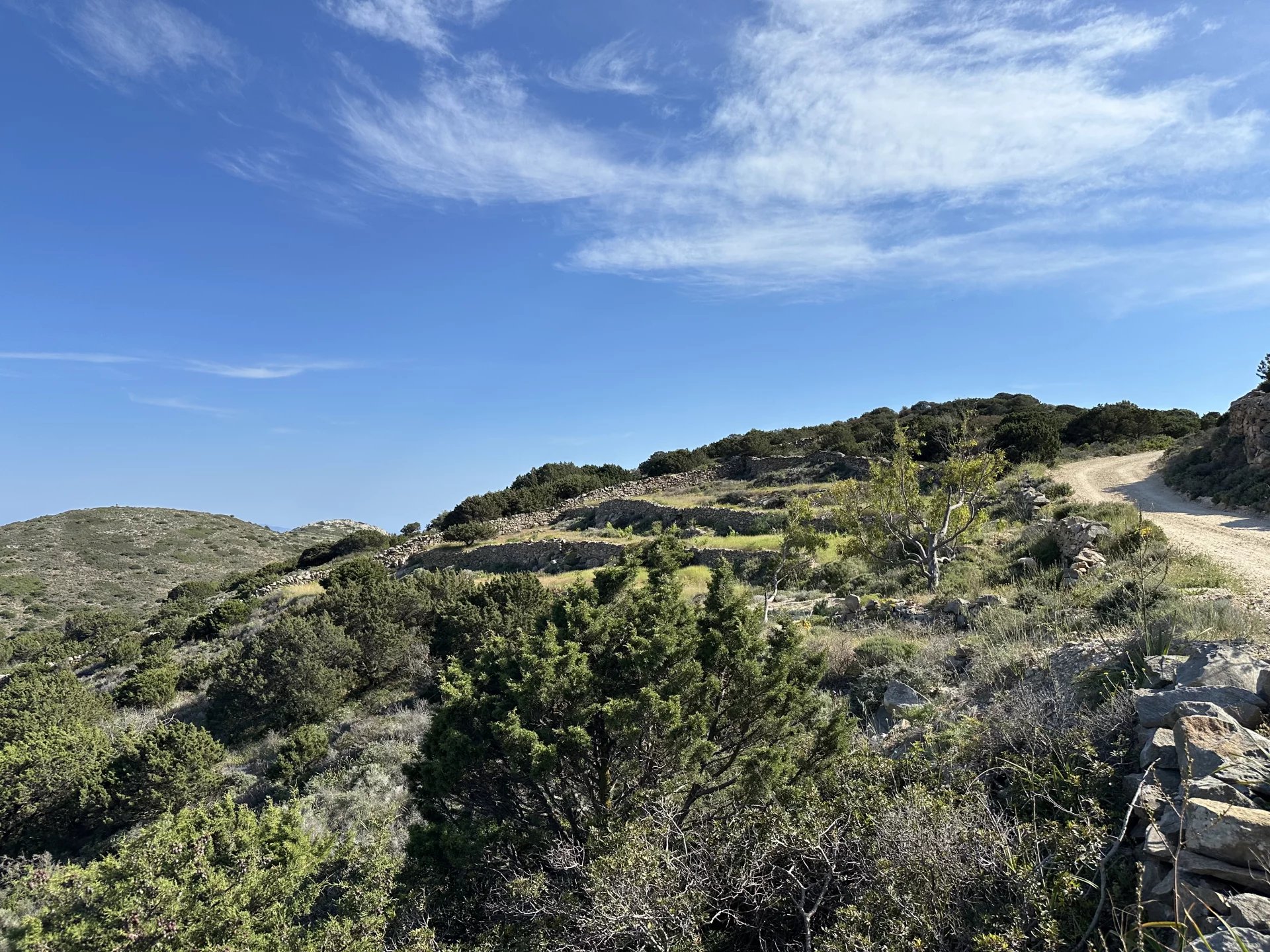 Εικόνα ιδιοκτησίας 4