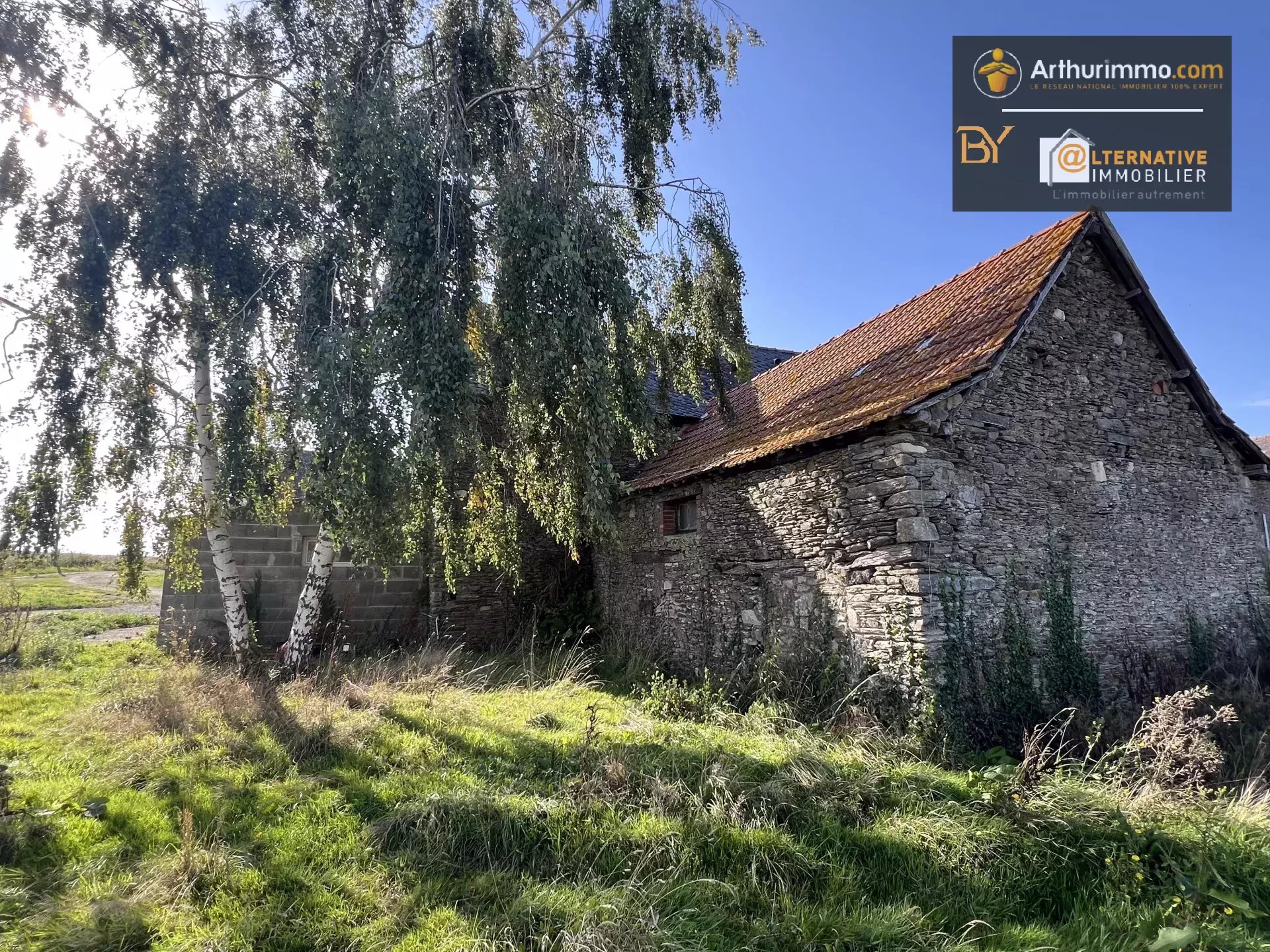 Agence immobilière de EURL ALTERNATIVE IMMOBILIER