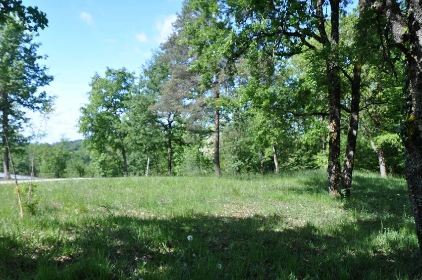 Vente Terrain Trélissac