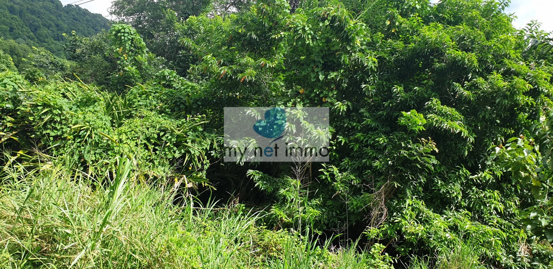 Vente Terrain Rivière-Pilote
