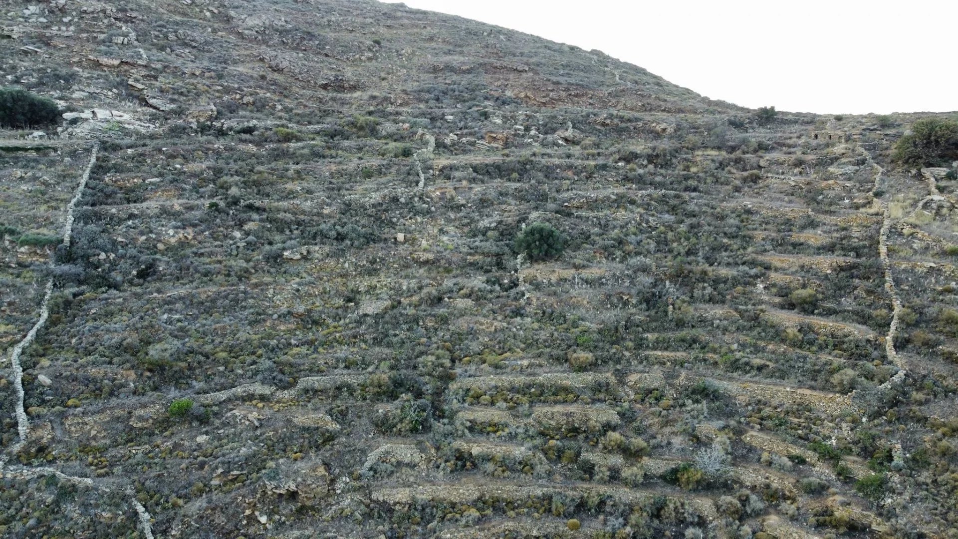 Εικόνα ιδιοκτησίας 9