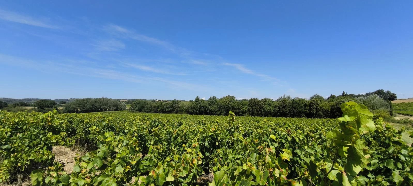 - EXCEPTIONNEL ET DROME PROVENCALE. RARE - ILOT DE 20 HECTA