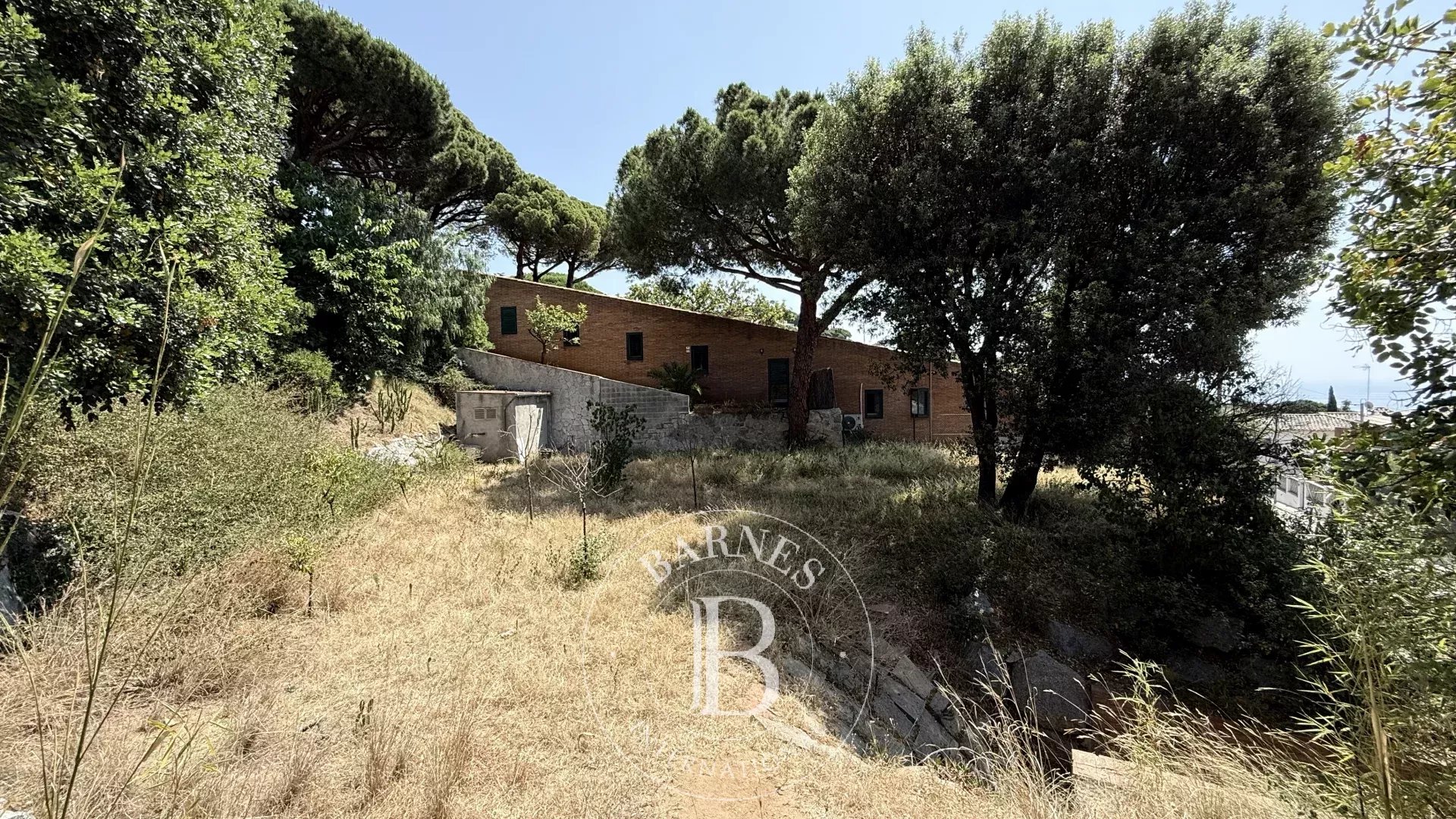 Arazi Premia de Dalt - picture 14