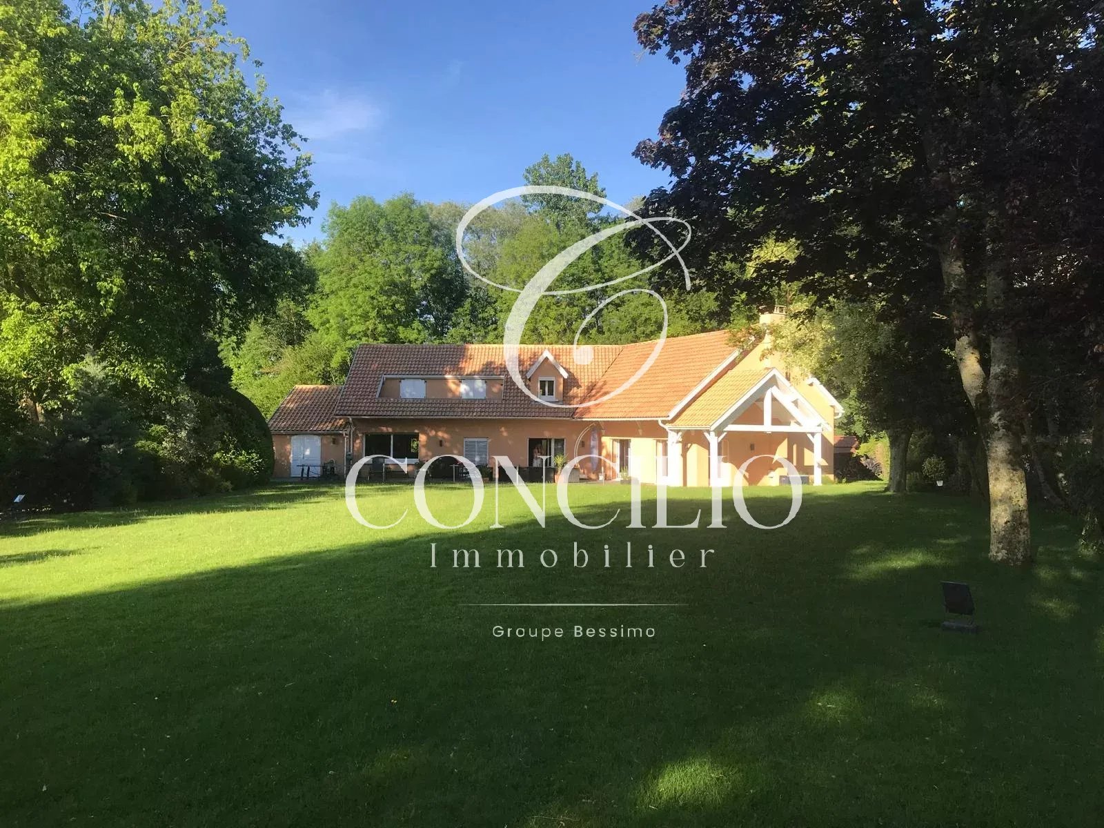 Agence immobilière de Concilio Immobilier
