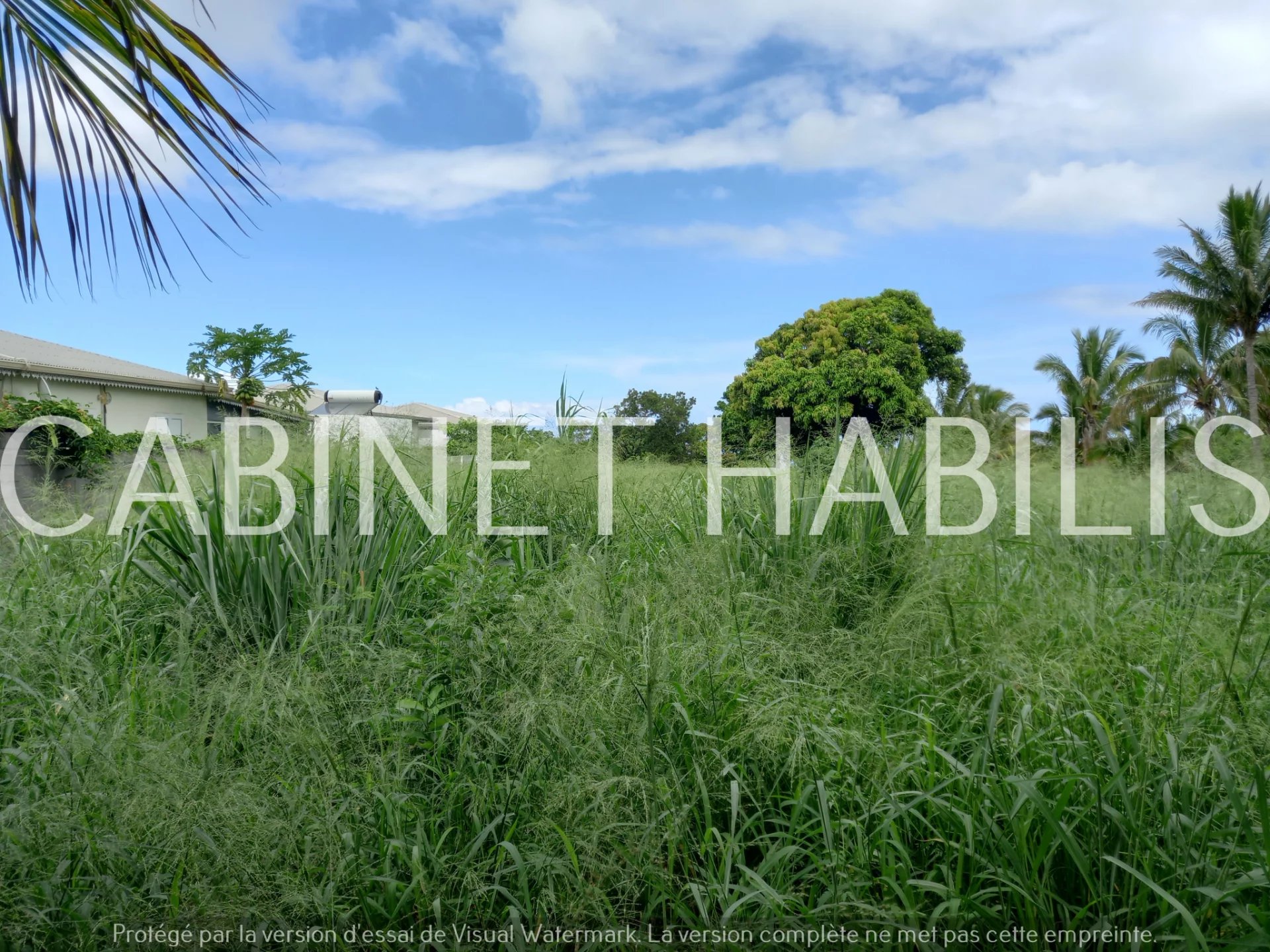 Location Terrain Saint-Pierre