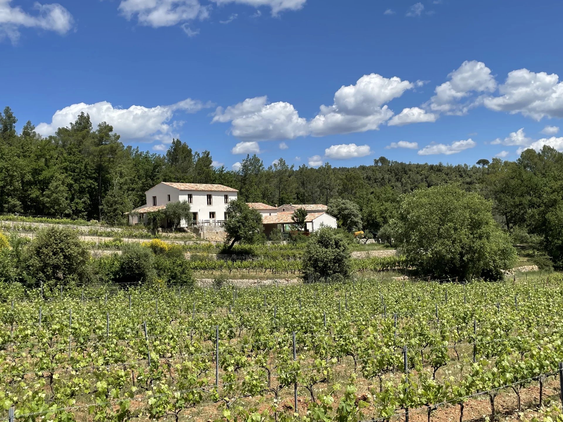 Sale Vineyard property Cotignac