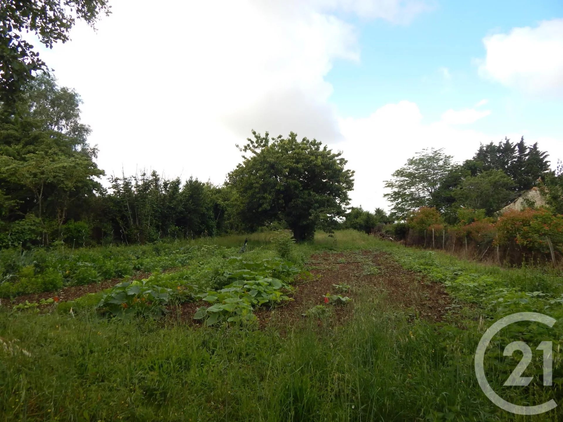 Vente Terrain Pioussay
