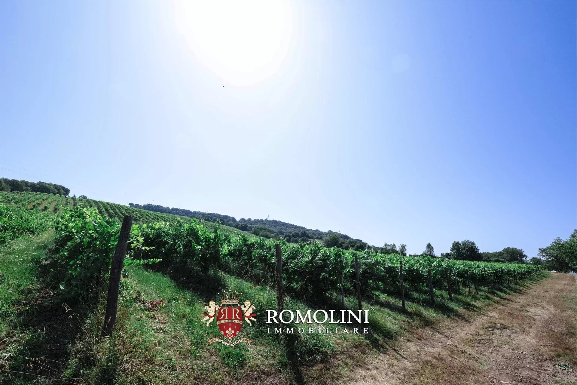 3 Bedroom Vineyard's Image 30
