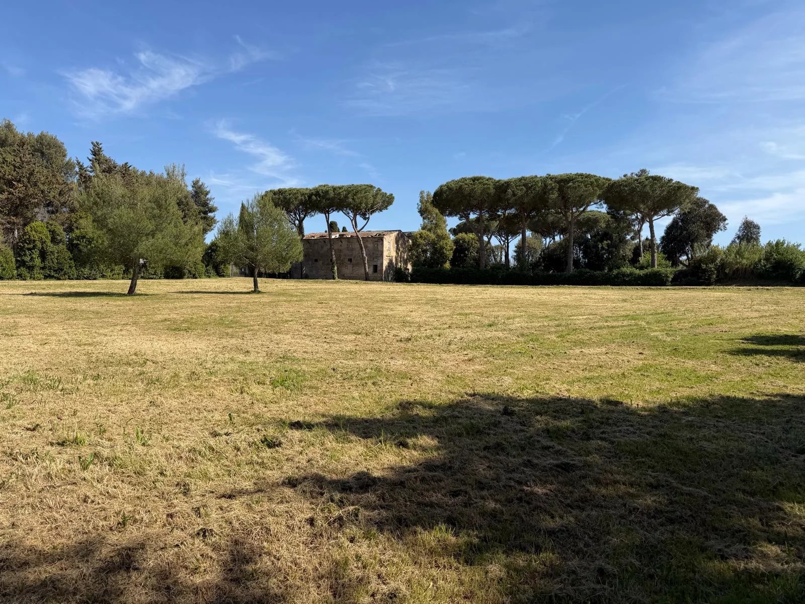 Historic former winery with 10,400 sqm of land and centuries-old pine park – Cecina, Tuscan Etruscan Coast