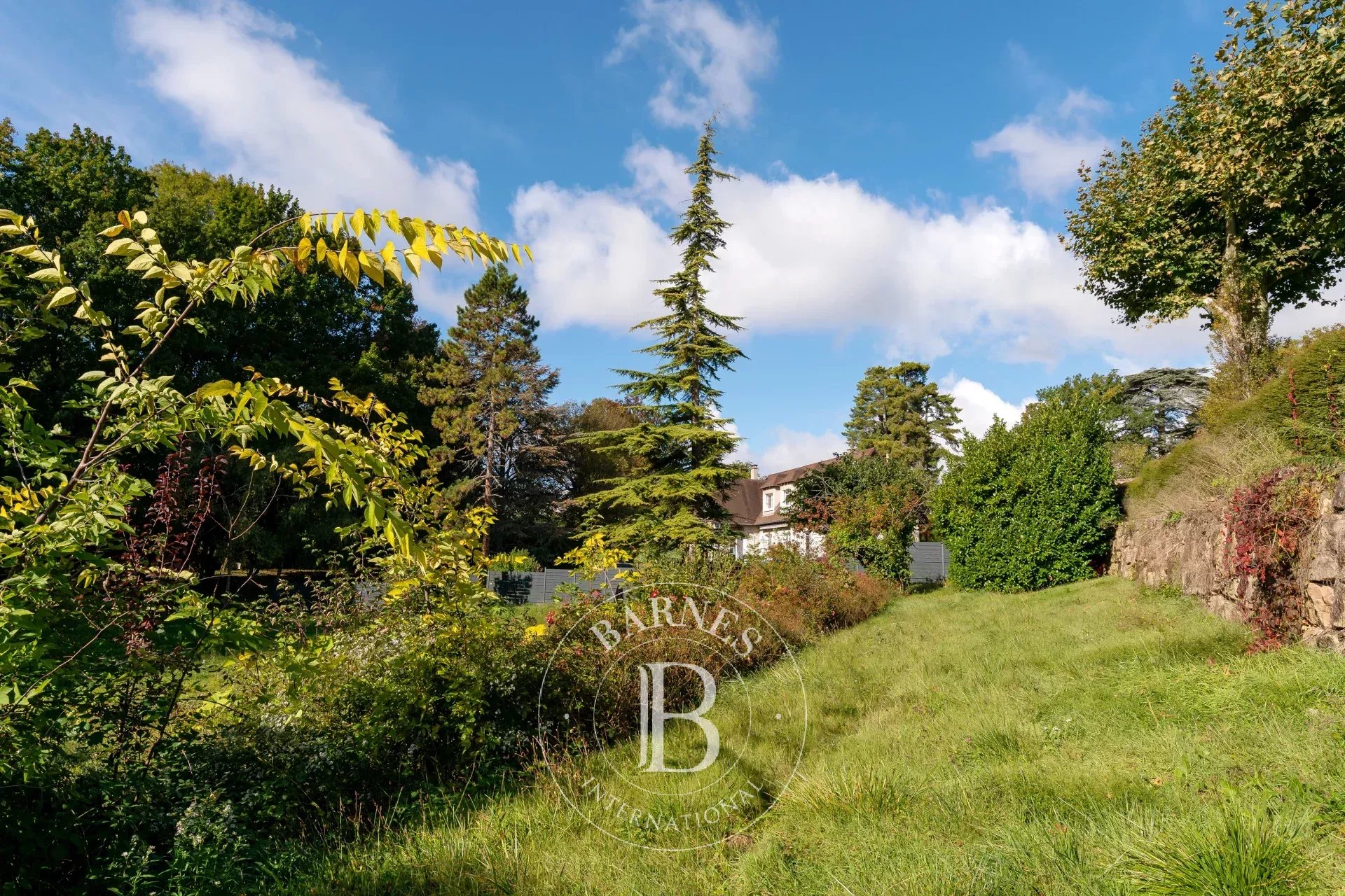 Arazi Saint-Cyr-au-Mont-d'Or - picture 4