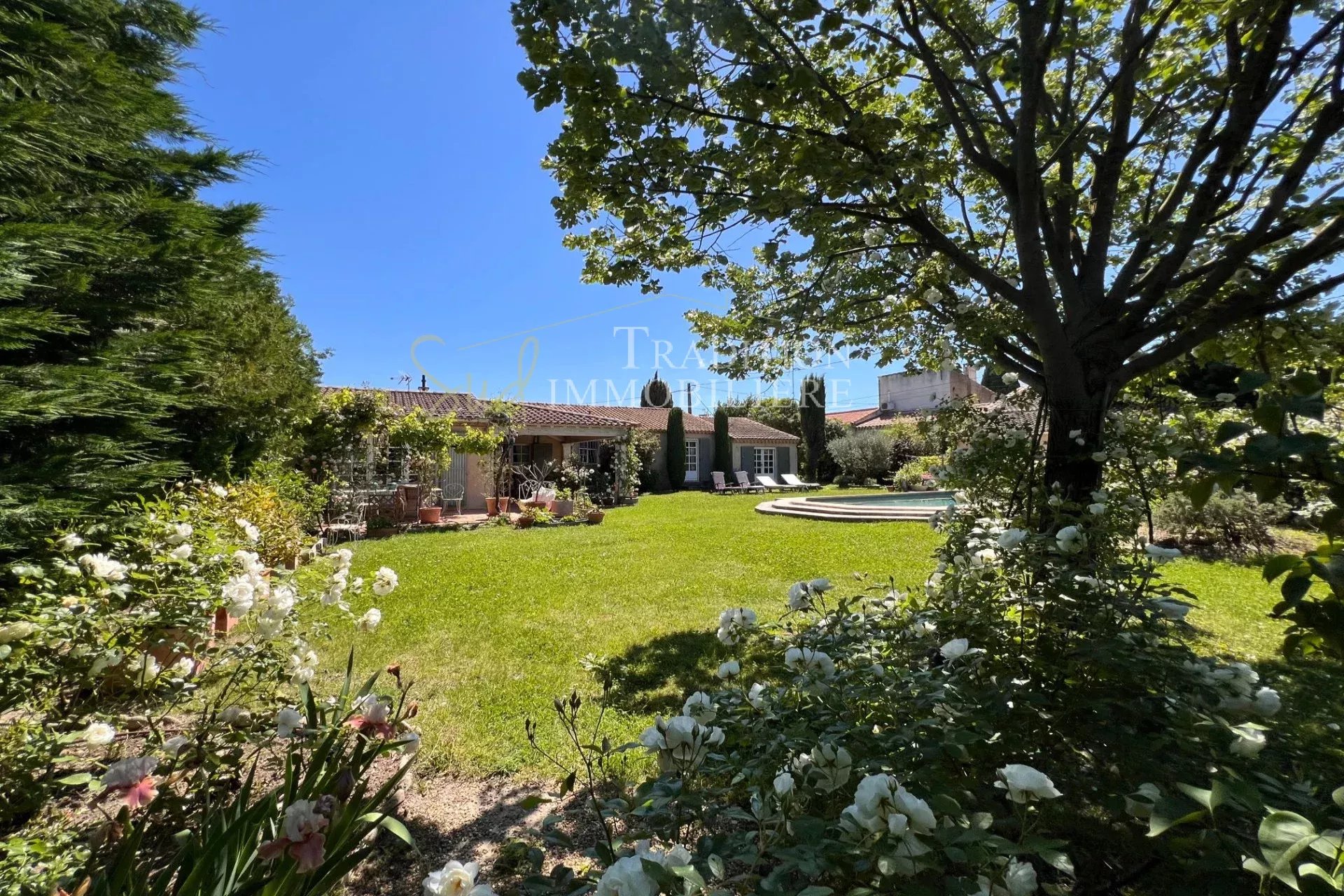 Agence immobilière de ZUNINO