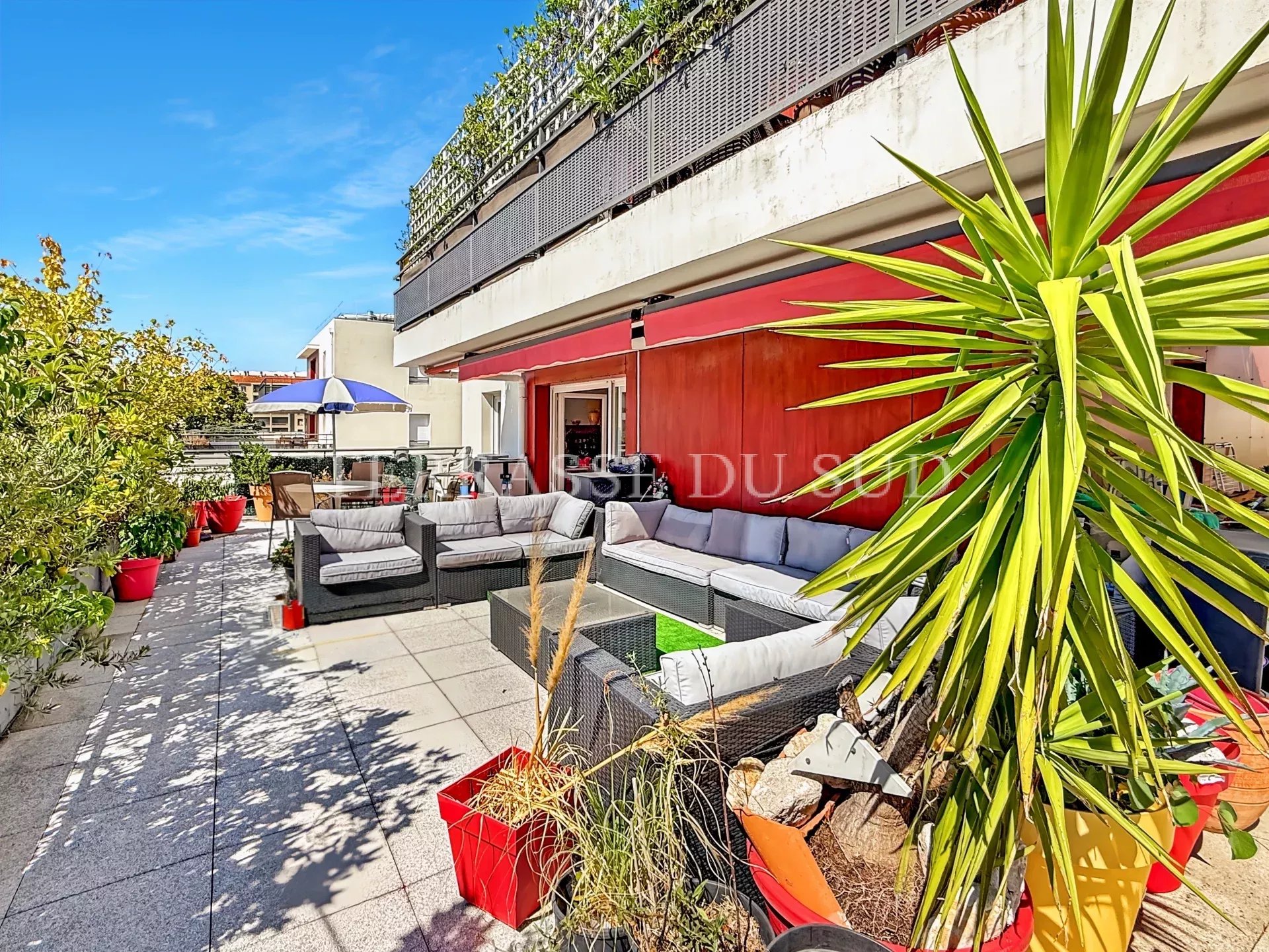 Agence immobilière de Terrasse du Sud