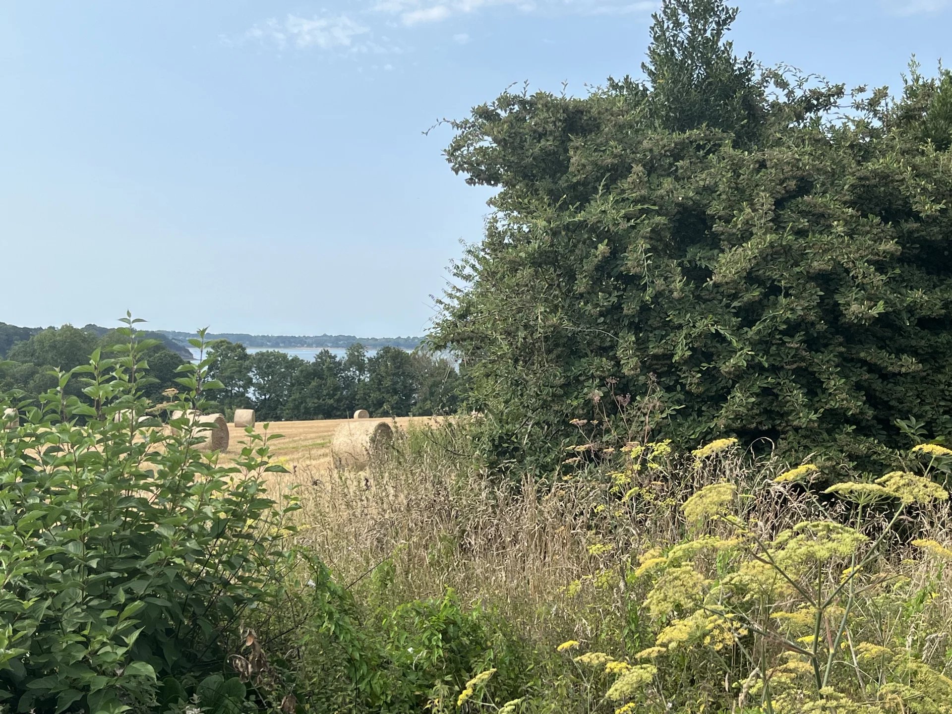 CHARME ET VUE RANCE AU CALME  EXCLU RANCE IMMO