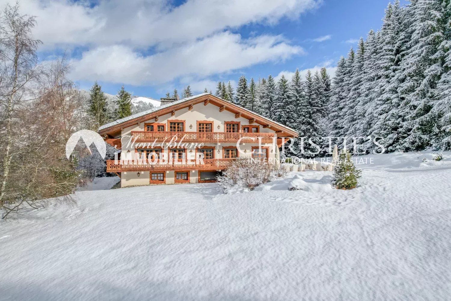 Agence immobilière de SAS MBI II