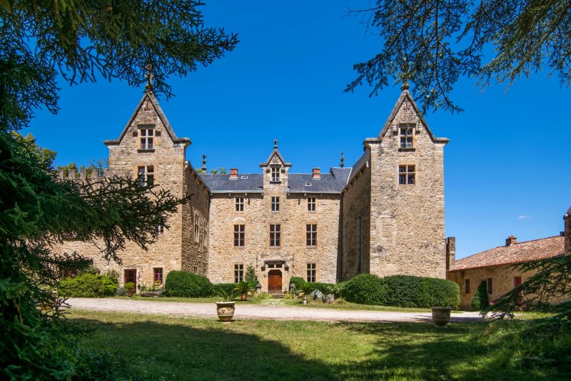 For Sale Castle | Millau - picture 2