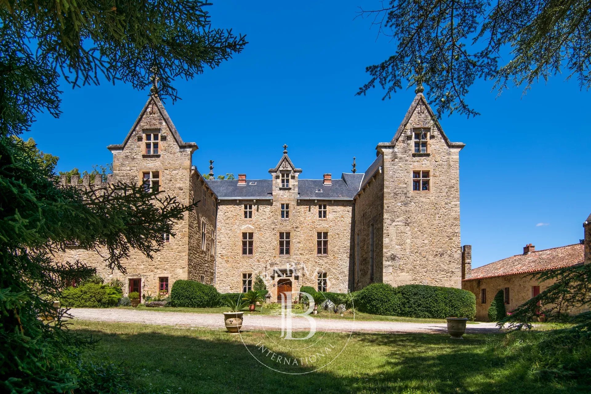Millau  - Château 20 Pi&egrave;ces 11 Chambres - picture 7