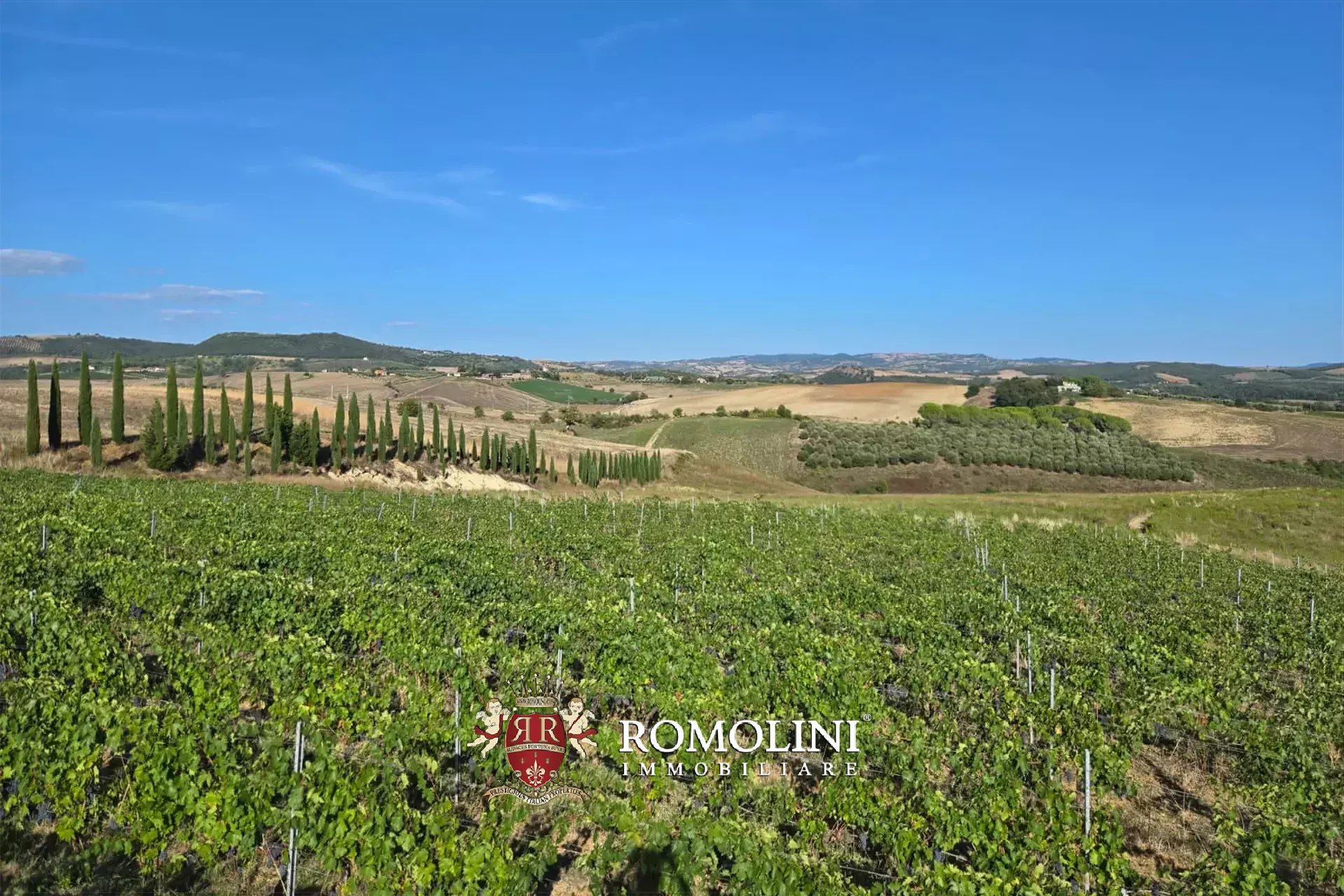 2 Bedroom Vineyard's Image 6