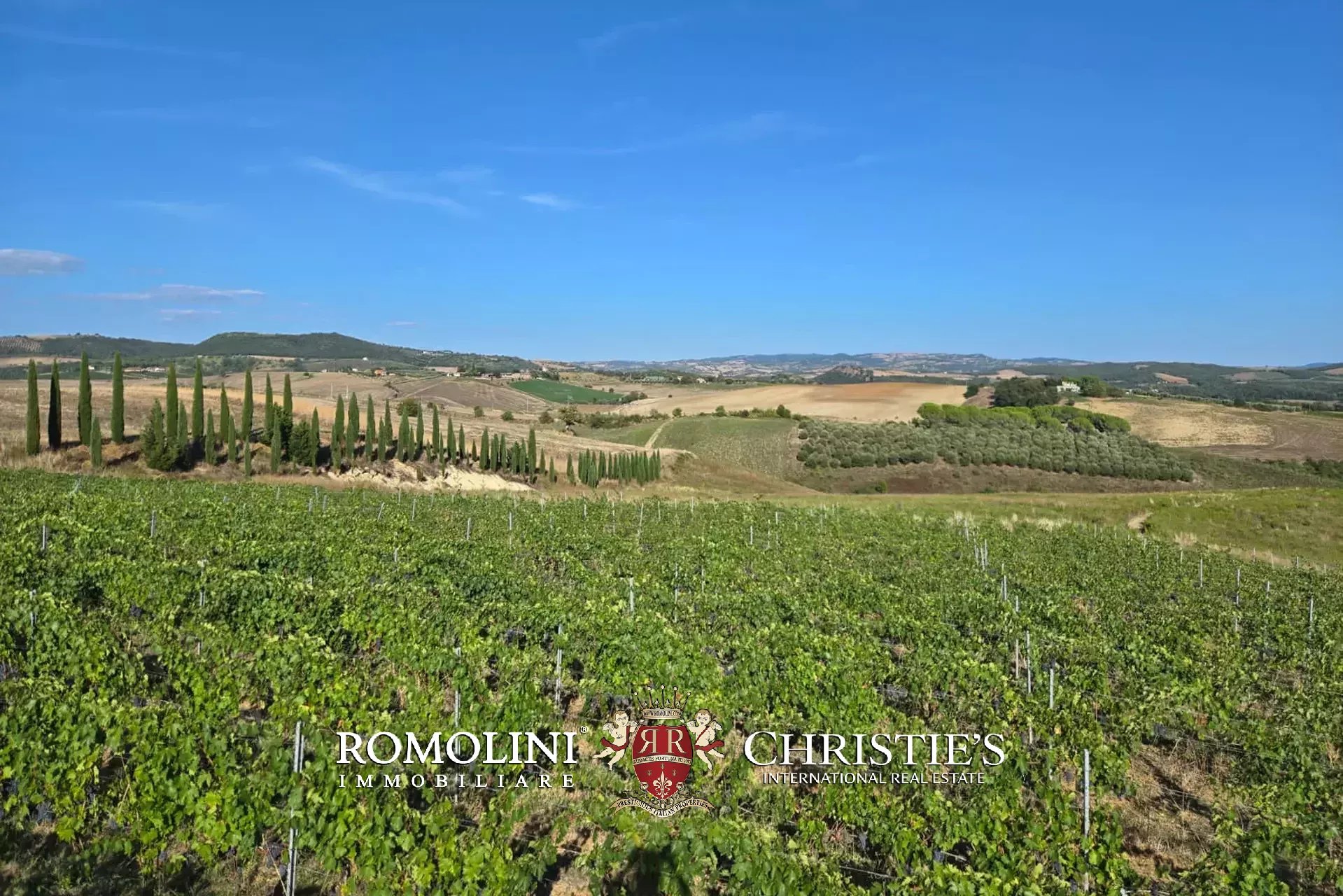 2 Bedroom Vineyard's Image 6